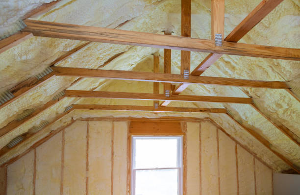 Best Residential Insulation in Scaggsville, MD